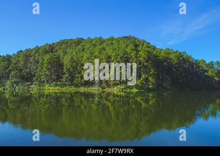 Beautiful Pine forest, good environment at Pang Oung Reservoir in Mae Hong Son, Thailand. Stock Photo