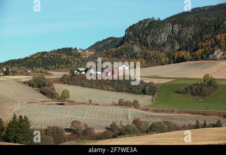 Norwegian coastal village landscape, fields, colorful wooden houses and barns on hills Stock Photo