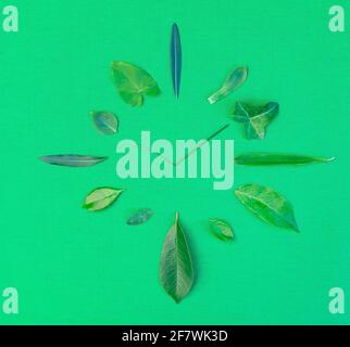 Clock made with leaves of different plants and blades of grass on a green background Stock Photo