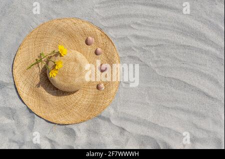 Flat lay composition with stylish straw hat and yellow flowers and seashells on sand with copy space. Stock Photo