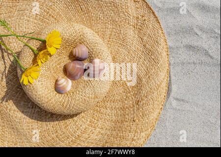 Flat lay composition with stylish straw hat and yellow flowers and seashells on sand with copy space Stock Photo