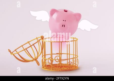 Opened bird cage with escaping piggy bank - Concept of economy and savings Stock Photo