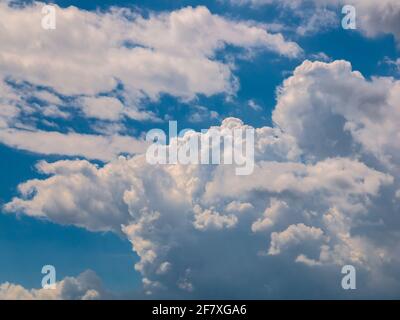 A massive cloud in the blue sky - (cumulus congestus or towering cumulus) Stock Photo