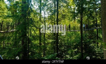 People walking on sky bridge made of wood, surrounded by tall trees, in Capilano Suspension Bridge Park of Canada. Stock Photo
