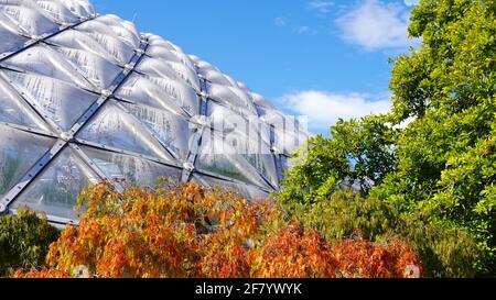 Bloedel Conservatory, the tropical garden in Queen Elizabeth Park of Vancouver, Canada, with domed shape under blue sky. Stock Photo