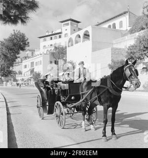 Sailors of practice meal 5 Passenger in Palma de Mallorca January 1956 Sailors of practice meal 5 Passenger in Palma de Mallorca January 1956