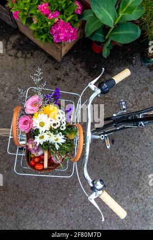 top view of the basket of a bicycle in summer with garden inside Stock Photo