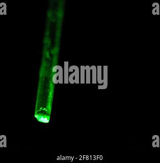 Plastic optical fiber transmitting green light against a dark background, illustrating fiber optic light transmission and optical technology Stock Photo