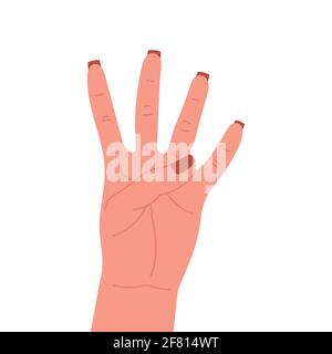 Counting fingers on hand, isolated on white background, vector illustration. Stock Vector