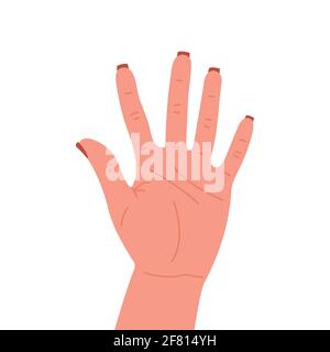 Counting fingers on hand, isolated on white background, vector illustration. Stock Vector