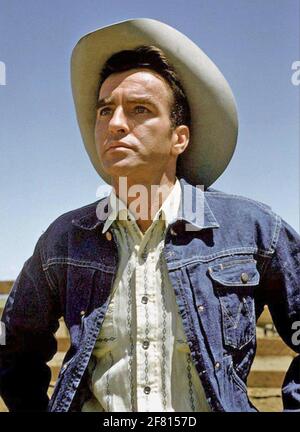 MONTGOMERY CLIFT (1920-1966) American fiolm actor about 1960 Stock Photo