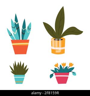 Vector set of indoor plants in pots. Illustration on white background. Stock Vector