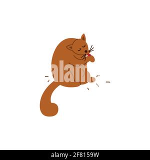 Cat licks. Pet isolated on white background. Flat vector illustration. Stock Vector