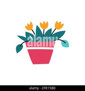 Indoor plant in a pot. Illustration on white background. Stock Vector