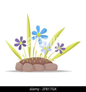 Flowers growing on flowerbed isolated on white background Stock Vector