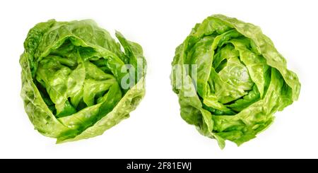 Two Romaine lettuce hearts, from above. Cos lettuce, tall lettuce heads of sturdy dark green leaves with firm ribs down their centers. Lactuca sativa. Stock Photo