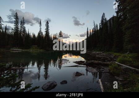 calm lake reflecting a morning landscape in the mountains with pine trees Stock Photo