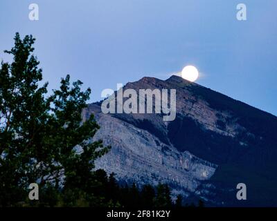 moon rising behind a tall mountain peak in summer with a pine tree in the foreground Stock Photo