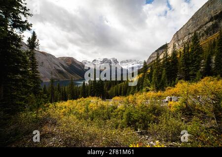 view of a grassy valley in autumn with mountains around and clouds in the sky