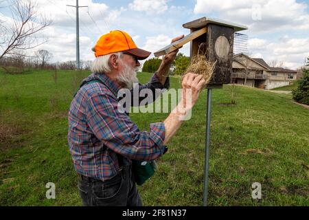 Volunteer birdkeeper Robert Bredemeyer checks a birdhouse at Metea County Park in Allen County, Indiana, USA. Stock Photo