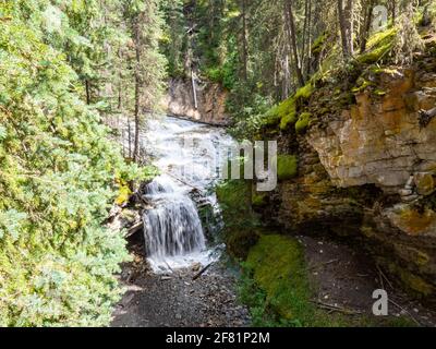 Waterfall in Mossy Pine Forest Cascading Over Rocky Cliff in Mountain Creek Gorge Stock Photo