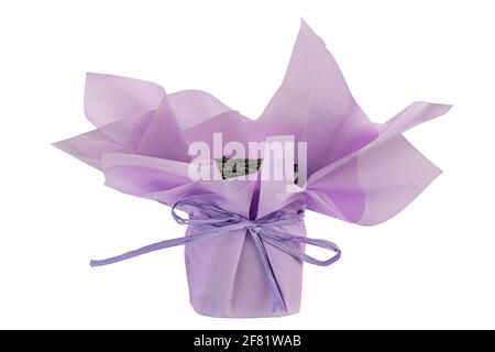Oasis stand for a bouquet wrapped in wrapping paper. Floral sponge. Holidays concept. File contains clipping path. Stock Photo