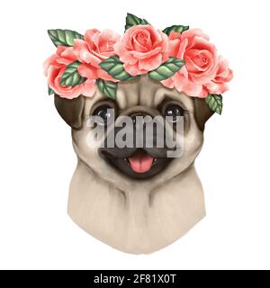 Portrait of Pug Dog with floral head wreath isolated on white Stock Photo