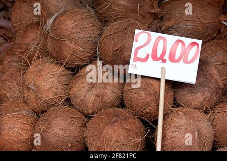 Selling coconut fruits at traditional market in Port Louis, Mauritius Stock Photo