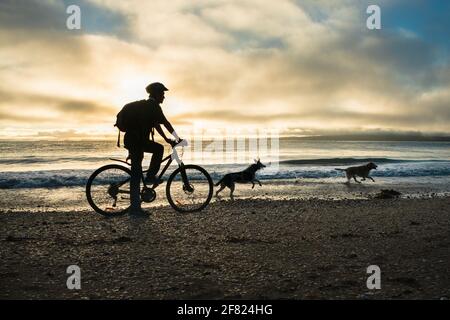 Silhouette image of a cyclist riding along the Milford beach with Rangitoto Island in the clouds and two dogs playing on the beach