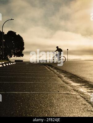 Silhouette image of a cyclist riding on the road at Milford beach, Auckland. Vertical format.