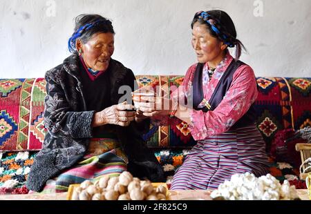(210411) -- XIGAZE, April 11, 2021 (Xinhua) -- Lhapa (L) receives a cup of buttered tea from her daughter at home in Puga Village of Xigaze, southwest China's Tibet Autonomous Region, March 20, 2021. Lhapa, born in 1945, is a villager in Puga Village. When she was a child, her mother became blind due to overwork and lost the ability to work. The serf owner drove her out of the manor, and Lhapa's mother had to beg everywhere with her sister for a living. In 1959, during the democratic reform in Tibet, the Lhapa's family were finally reunited and alloted 24 mu (about 1.6 hectare) of land, six Stock Photo