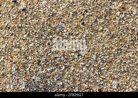 Detail of sand and shell fragments on a beach Stock Photo