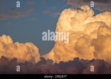 Cumulonimbus during sunset. Top of cumulus cloud. Dramatic sky before storm Stock Photo