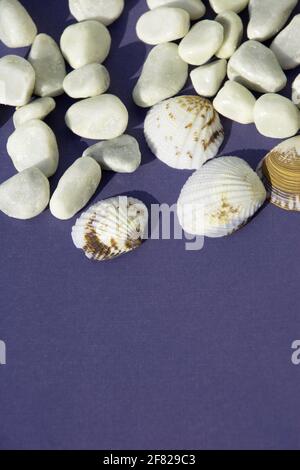 concept of summer sunny vacation with white stones and seashells on sunshine Stock Photo