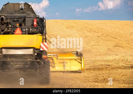 Combine harvester from back during cutting cereal plant on wheat field. Agricultural machinery on farm. Stock Photo