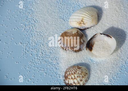 Top view of blue background with sand and seashells studio shot Stock Photo
