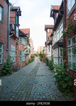 Beautiful streets of the old center of Luneburg in lower saxony germany in soft light at day with brick houses and green plants with cobblestone stree Stock Photo