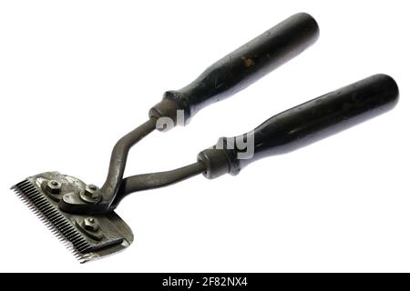 vintage two hand sheep clipper isolated on white background Stock Photo