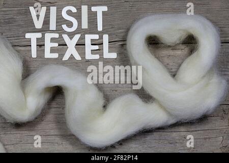 raw wool from the Dutch island of Texel forming a heart on wooden background with text ‘Visit Texel’ Stock Photo
