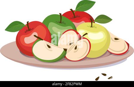 Set of red and green apples on a plate. Whole fruit with leaf, halves and wedges with seeds. A source of vitamins. Food for a healthy diet. Sweet Stock Vector