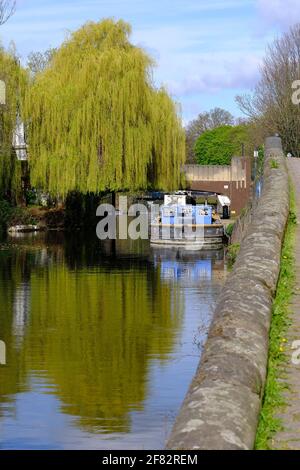 Regen't Canal by Victoria Park, HAckney, East London, London, United Kingdom Stock Photo