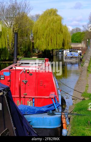 Regen't Canal by Victoria Park, HAckney, East London, London, United Kingdom Stock Photo