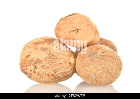 Two round organic, aromatic, brown, spicy nutmegs on a white background. Stock Photo