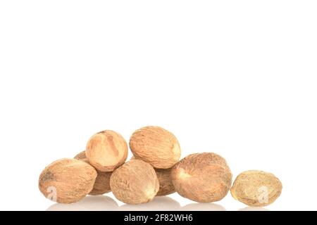 Two round organic, aromatic, brown, spicy nutmegs on a white background. Stock Photo