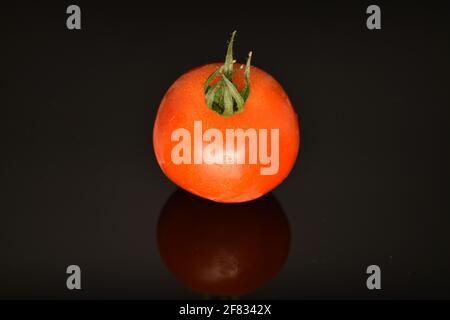 One ripe, bright red, organic, tasty cocktail tomato, close-up, on a black background. Stock Photo