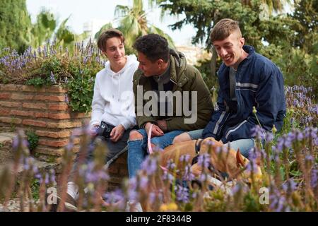 A shallow focus shot of three young men sitting in a garden looking after a Pharaoh Hound Stock Photo