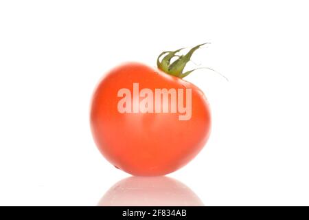 One ripe, bright red, organic, tasty cocktail tomato, close-up, on a white background. Stock Photo