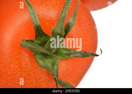 One ripe, bright red, organic, tasty cocktail tomato, close-up, on a white background. Stock Photo