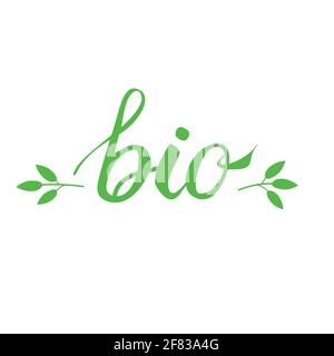 Bio hand drawn lettering and two green branches vector illustration. Ecological food label. Stock Vector