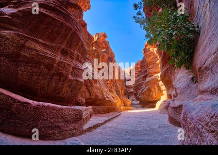 In ancient times, Petra might have been approached from the south on a track leading across the plain of Petra, around Jabal Harun ("Aaron's Mountain" Stock Photo